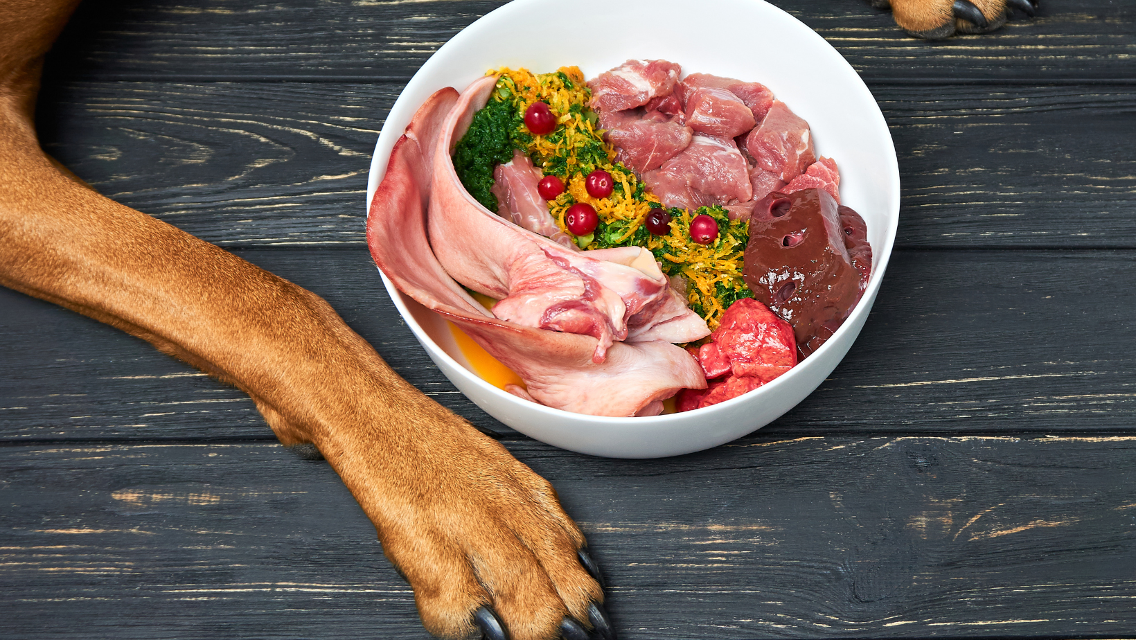 Why Feed a Tailored Homemade Diet?