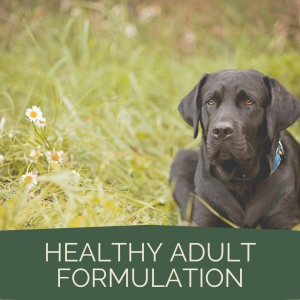 Healthy Adult Formulation