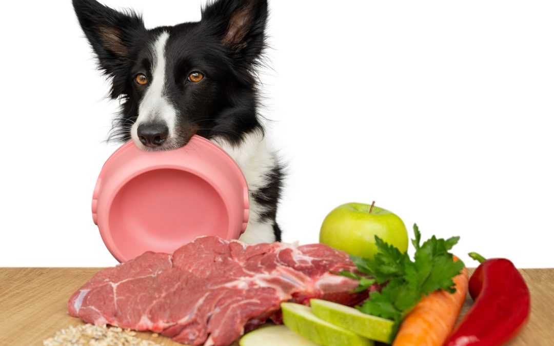 Multivitamins in a Homemade Diet