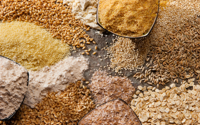 Do Dogs Benefit from Carbohydrates?